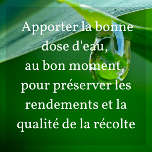Avec les sondes capacitives apportait la bonne dose deau, au bon moment, pour préserver les rendements et la qualité de la récolte
