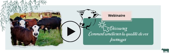 webinaire-qualite-fourrage