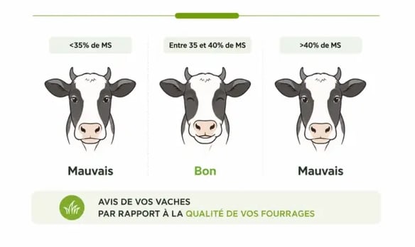 Blog ensilage Troupo 0424 (1)