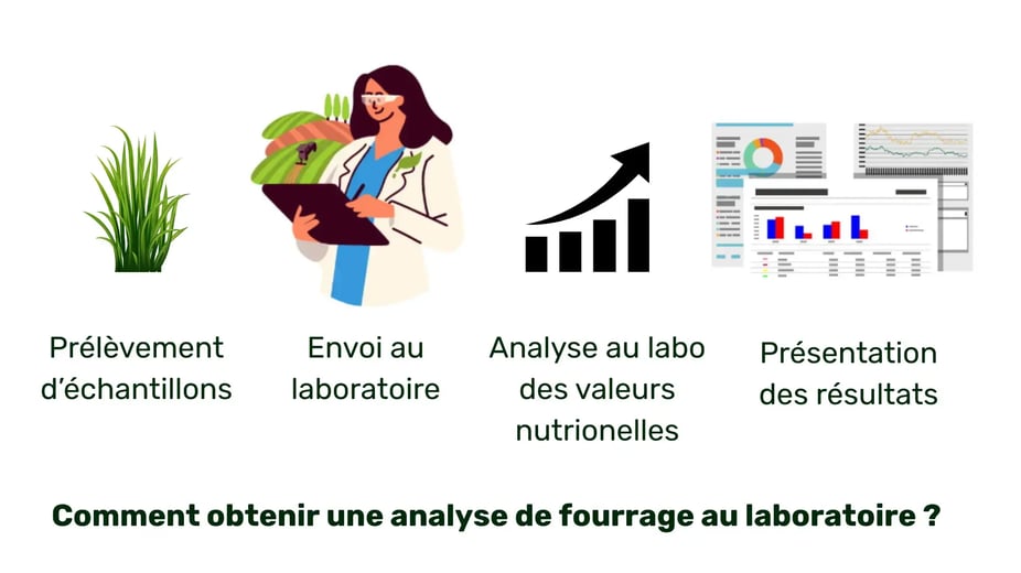 Blog fourrage 0226 webp
