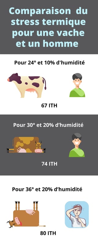 resistance-a-la-chaleur-et-au-stress-thermique-d-une-vache-et-d-un-homme
