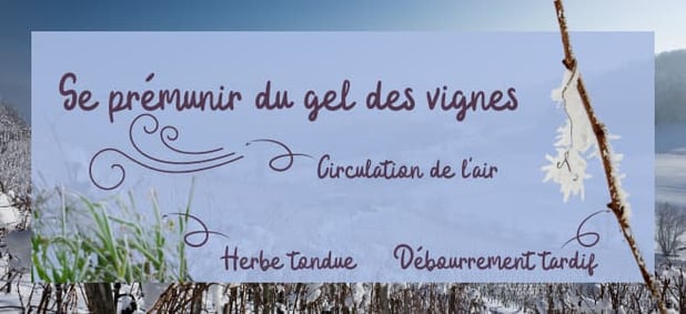 solutions-antigel-vignes-bougies-chaufferettes-eoliennes-aspersion-molecules-antigel