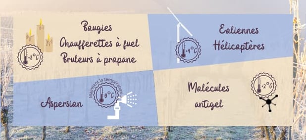 solutions-antigel-vignes-bougies-chaufferettes-eoliennes-aspersion-molecules-antigel