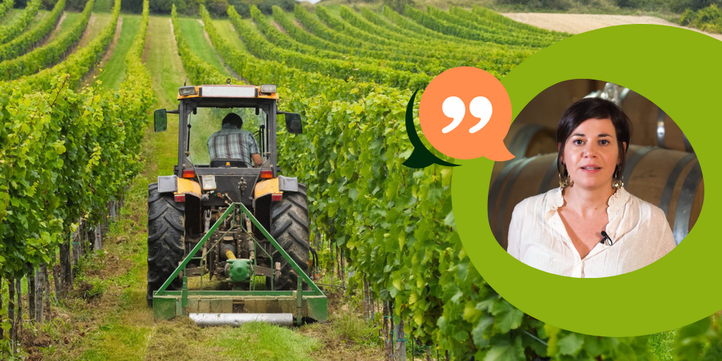 PTPE-vignette-blog-isapaye-temoignage-domaine-viti
