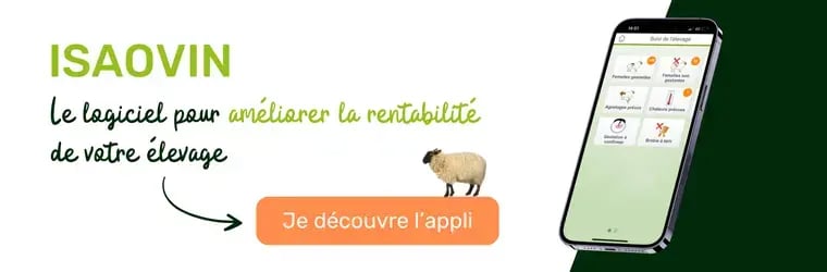 CTA - rentabilité élevage ovin - 0125 (1)
