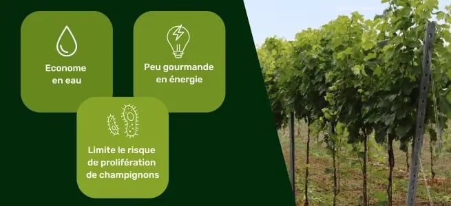CTA replay webdémo irrigation (3)