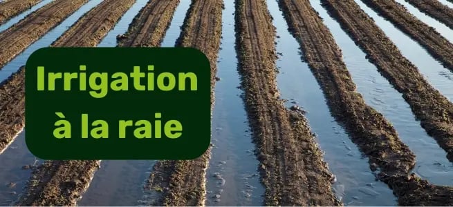 CTA replay webdémo irrigation (4)