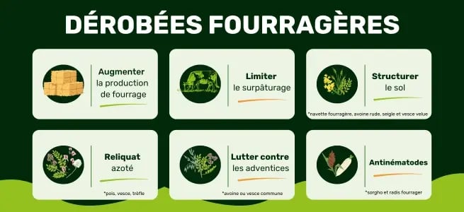 Copie de Article blog autonomie fourragère (1)