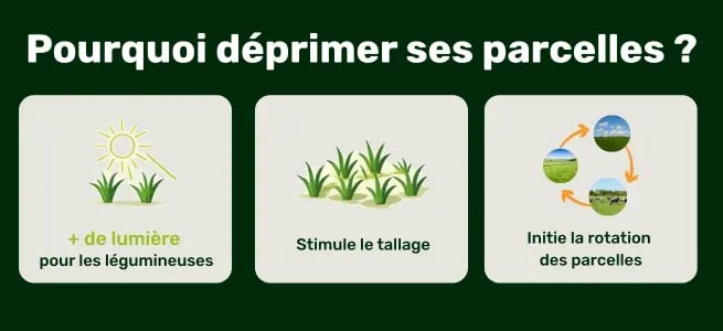 Copie de Article blog autonomie fourragère