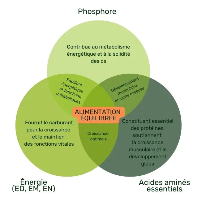 Copie de Pigup - blog - alimentation porcs - 1124