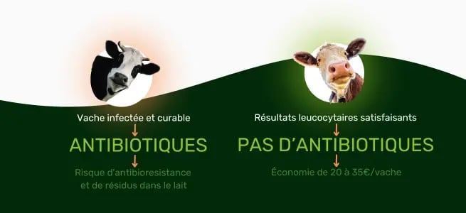 Copie de TroupO - Blog - Tarissement - 0623 (1)