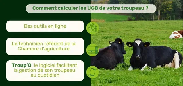 Copie de troupo - blog - visuel -  (1)