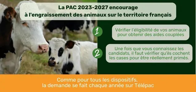 Copie de troupo - blog - visuel -  (2)