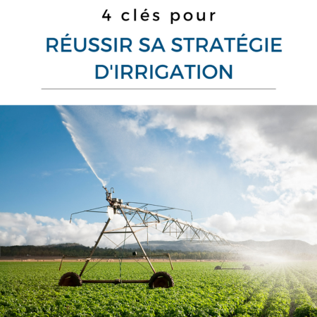Design sans titre (20)-1