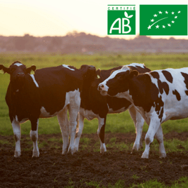 Elevage biologique - Option bio TroupO