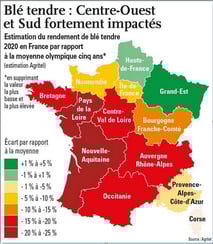 Estimatiion des rendements blé tendre 2020 en France
