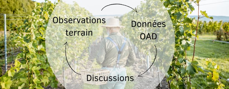 viticulteur-equilibre-terrain-outil-aide-a-la-decision