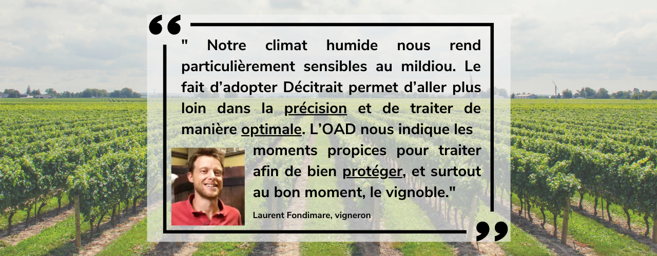 temoignage-mildiou-traitement-vignoble