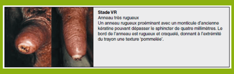 ISAGRI - 2021 - Evaluation du trayon stade VR - 0121