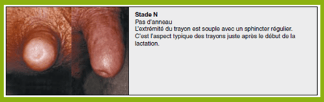 ISAGRI - 2021 - Evaluation du trayon stade n - 0121