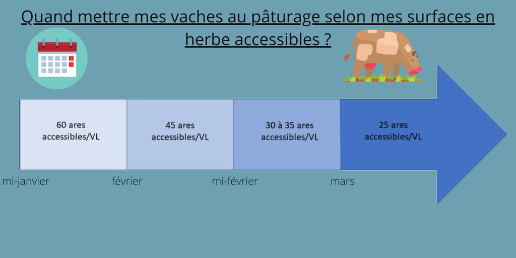 Quand mettre mes vaches au paturage selon mes surfaces en herbe accessibles ?