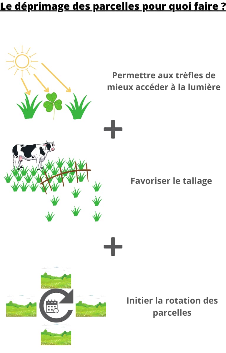 Le deprimage des parcelles pour quoi faire ? version mobile