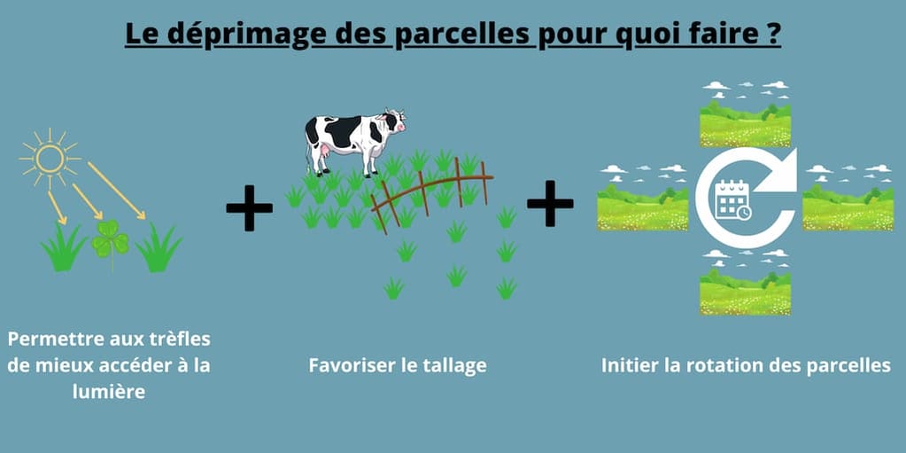 Le deprimage des parcelles pour quoi faire ?