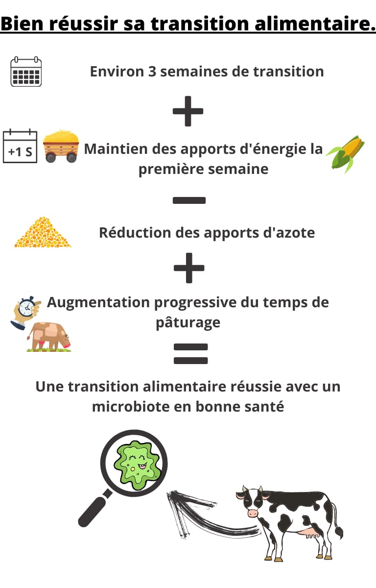 Bien reussir sa transition alimentaire version mobile