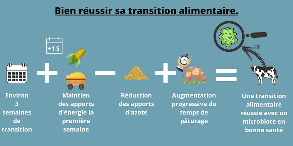 Bien reussir sa transition alimentaire