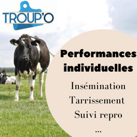 PERFORMANCES ANIMAUX TROUPO