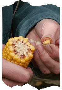 Comme le précise Delphine, un grain pâteux avec une goutte de lait à la base, c’est parfait !