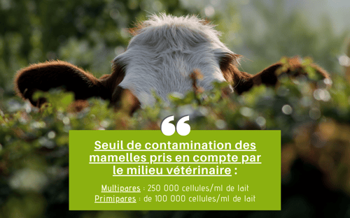 Seuil de contamination des mamelles pris en compte par le milieu vétérinaire - TroupO