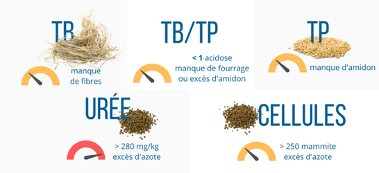 ration-vache-laitiere-tp-tb-uree