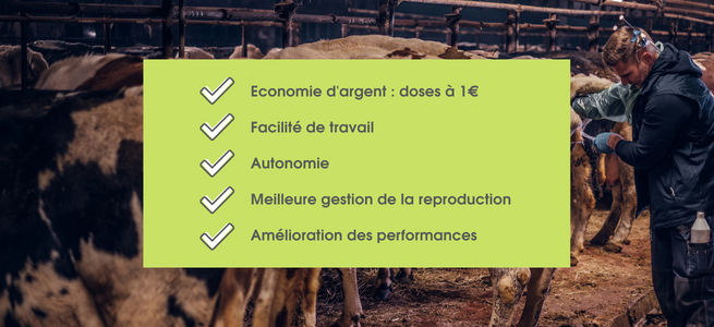 avantages-insemination-par-eleveur-bovin-vache-ipe