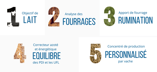 calculer-ration-vache-laitiere-5-etape