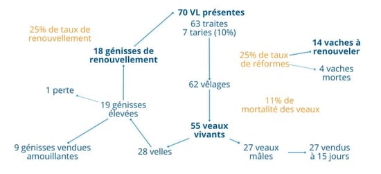 Volume densilage (5)