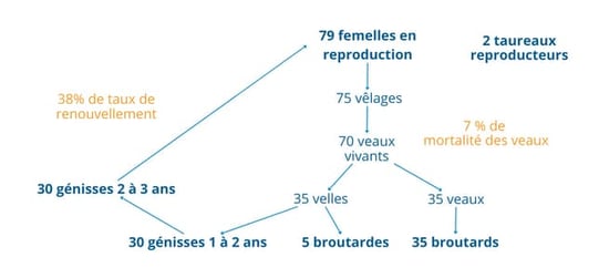 Volume densilage (6)