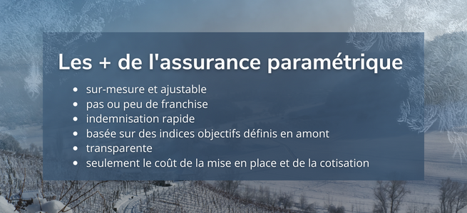 assurance-parametrique-gel-vigne-agriculture