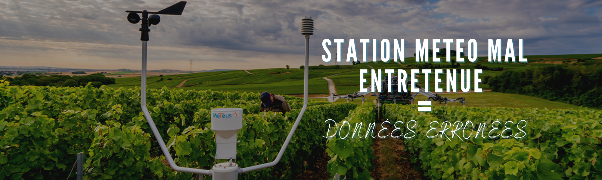 entretien-station-meteo-vignes-arbres-traitement
