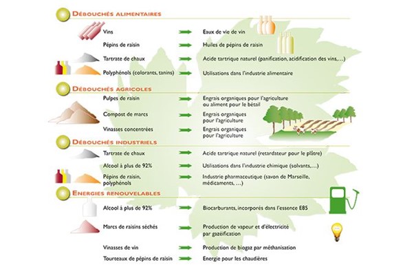 elimination-marcs-et-lies