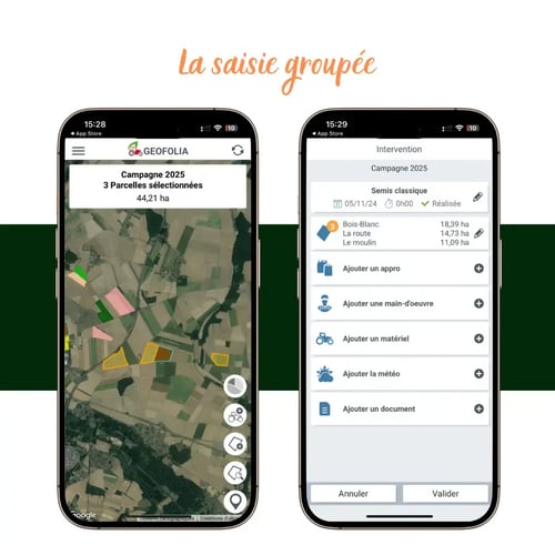 Blog - traçabilité parcellaire -1224