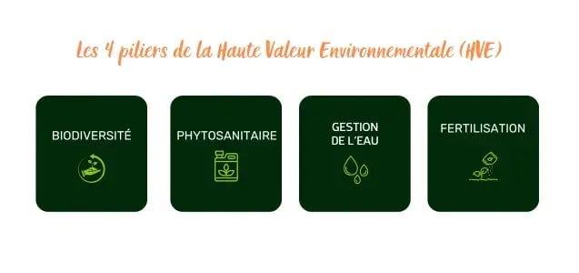 Pigup - blog - alimentation porcs - 1124 (1)