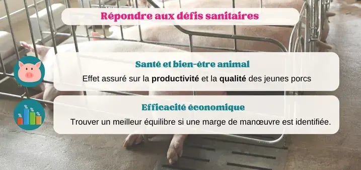 pigup-gtt-sante-sanitaires-porc-elevage