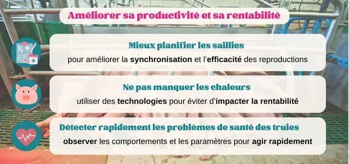 pigup-rentabilite-production-porc-gttt-elevage-2024.webp
