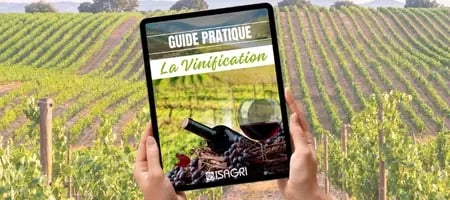 Guide Vinification
