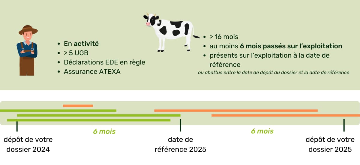 animaux-eligibles-aide-pac-bovin-ugb