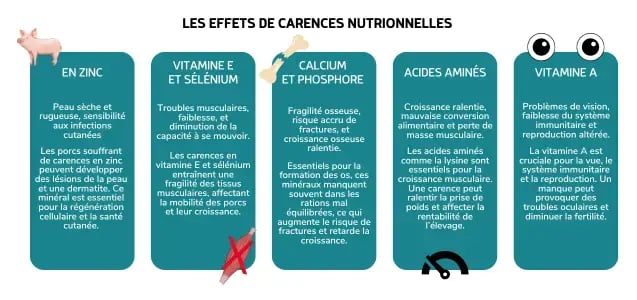 Les effets de carences nutritionnelles chez les porcs