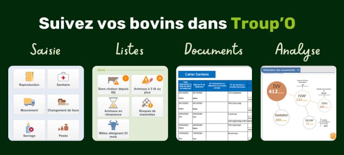 Bandeau CTA latéral blog PANIMALE (11)