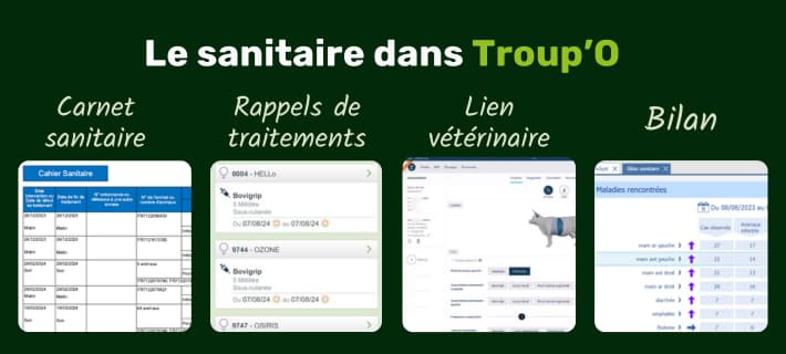 Bandeau CTA latéral blog PANIMALE (13)
