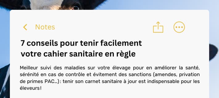 Bandeau CTA latéral blog PANIMALE (17)
